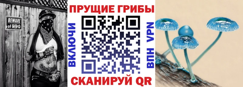 Псилоцибиновые грибы прущие грибы  Купить закладки  Орск 